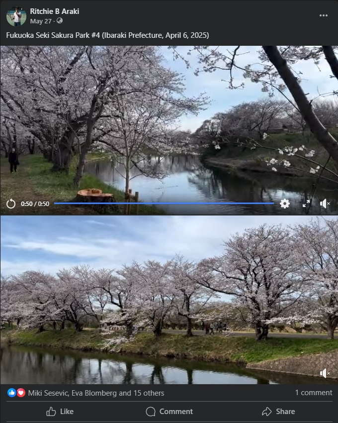 Facebook Post Preview