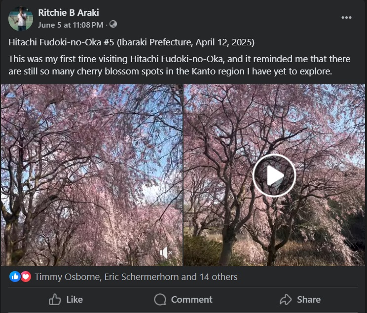 Facebook Post Preview